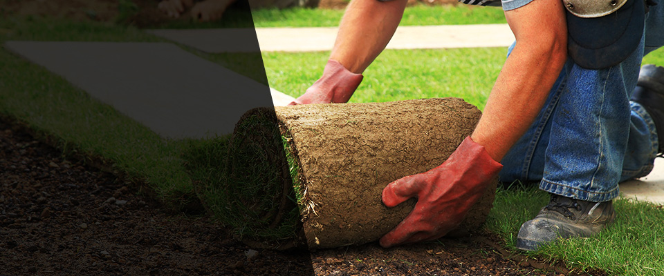 La Salle Landscapers